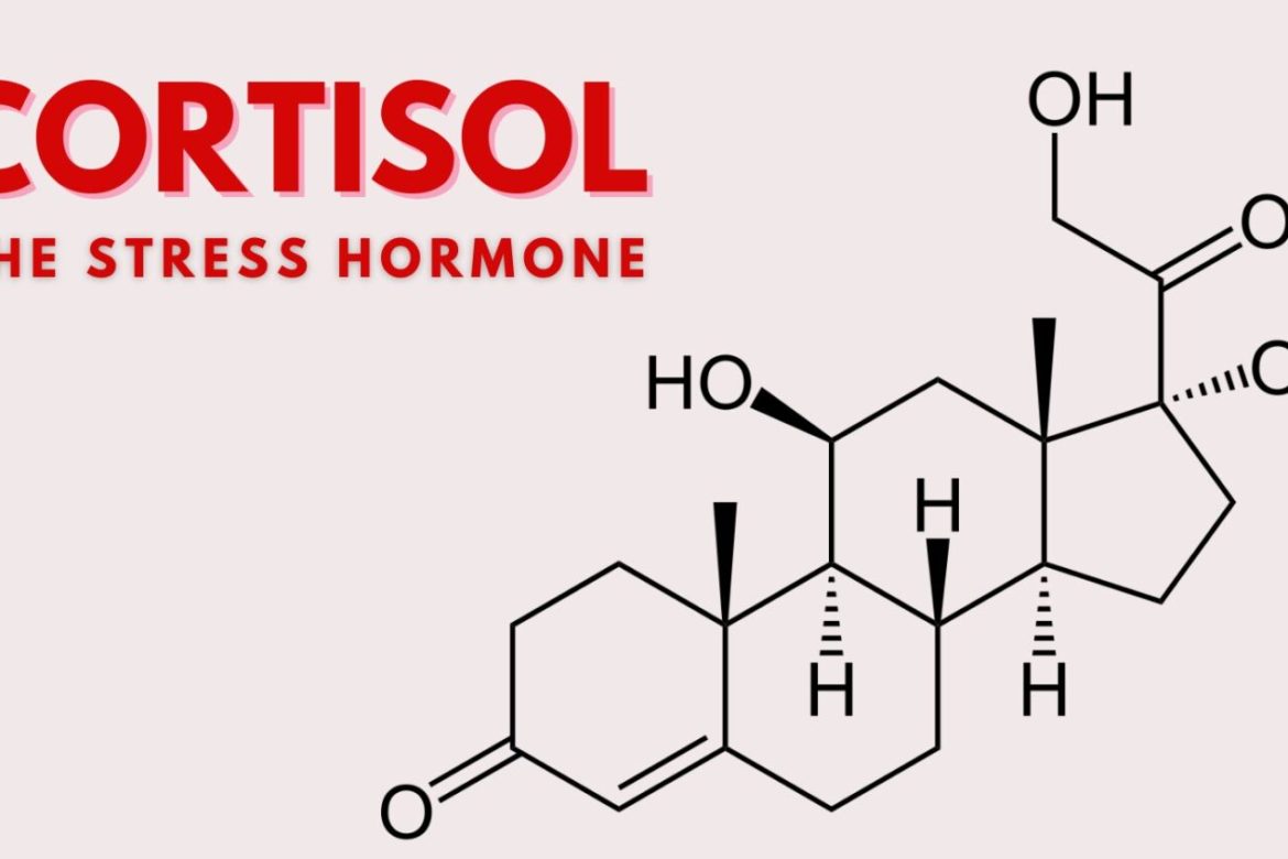 Cortisol: The Stress Hormone